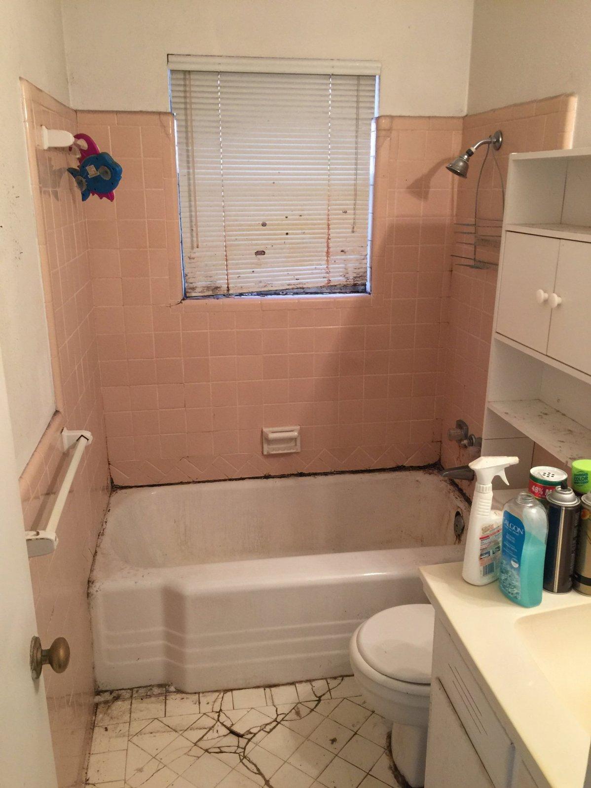 Bathroom Remodel before