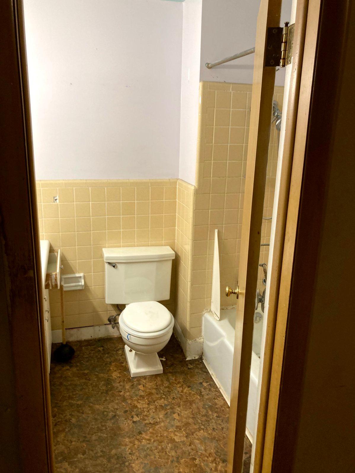 Hall Bathroom Remodel before