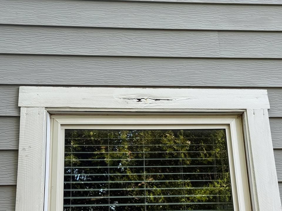Exterior Window Trim Replacement before